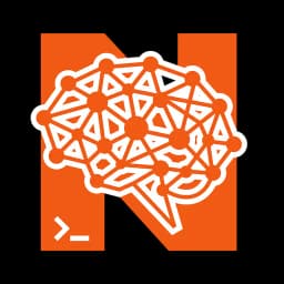 Nelkit Chavez Logo